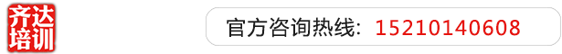 老sao逼影院齐达艺考文化课-艺术生文化课,艺术类文化课,艺考生文化课logo